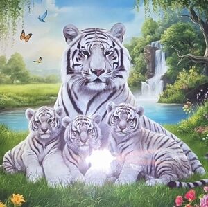 Jewllary and cloth show